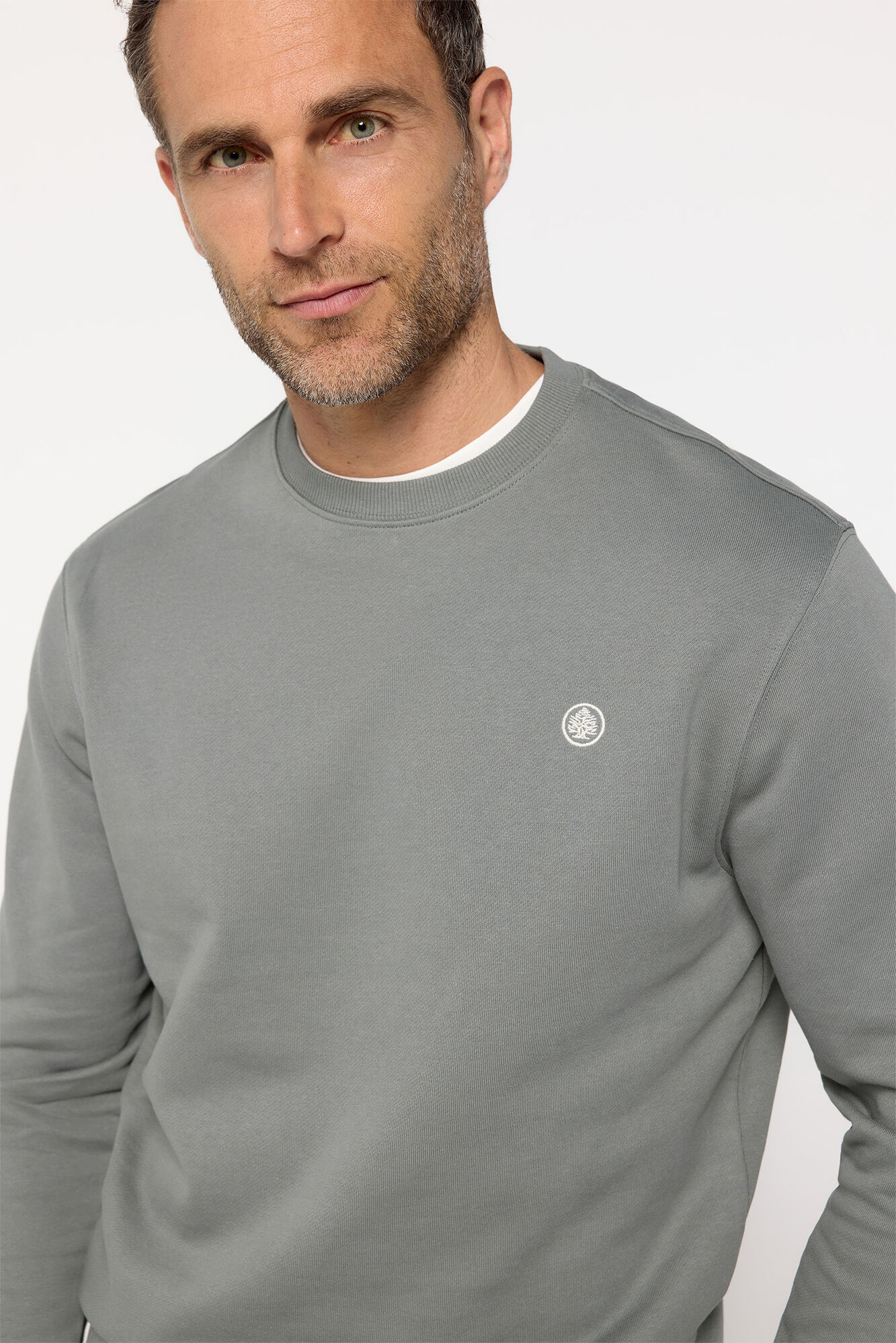 Springfield Sudadera cuello caja bordada Kaki Oscuro