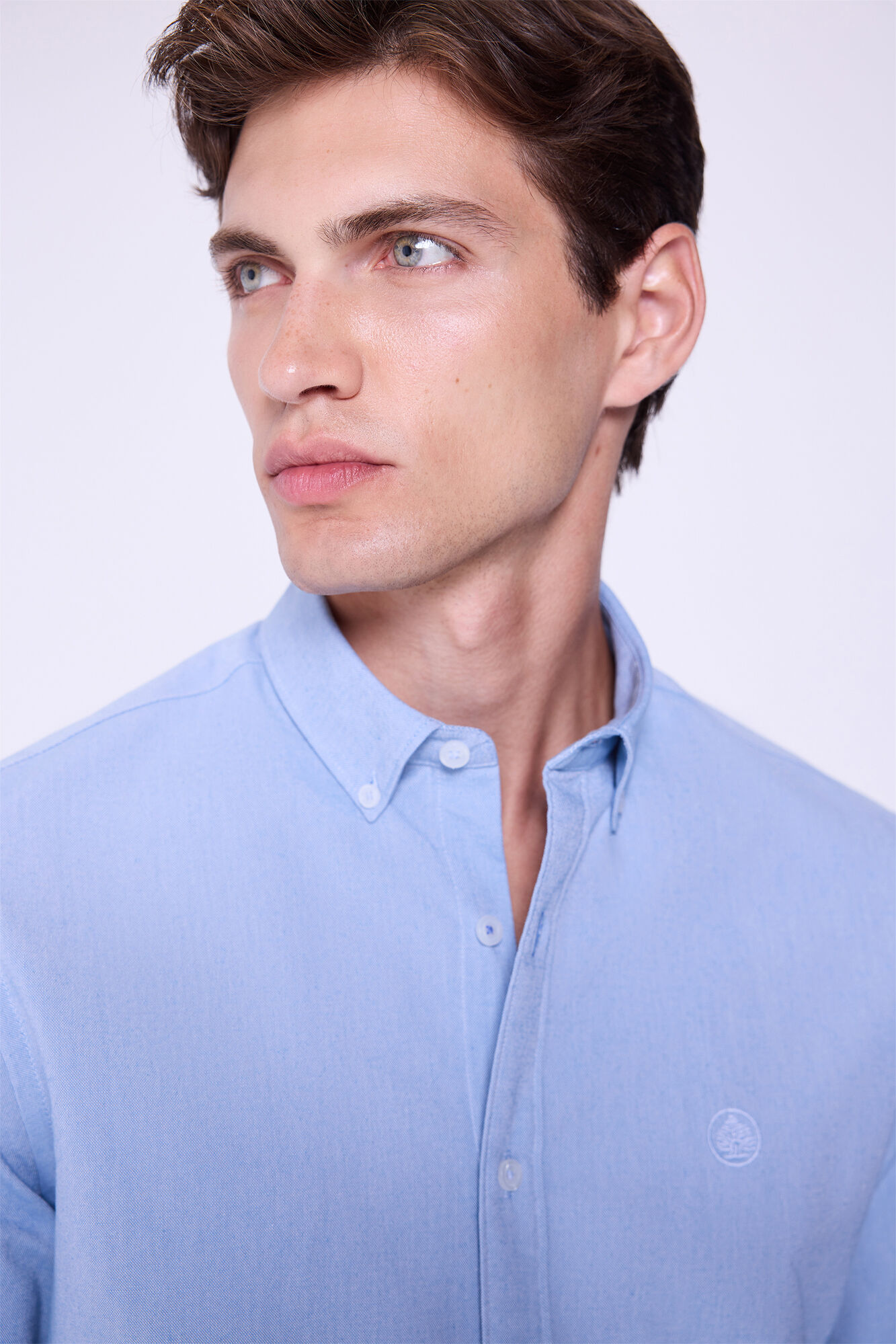 Springfield Camisa Oxford liso Azul