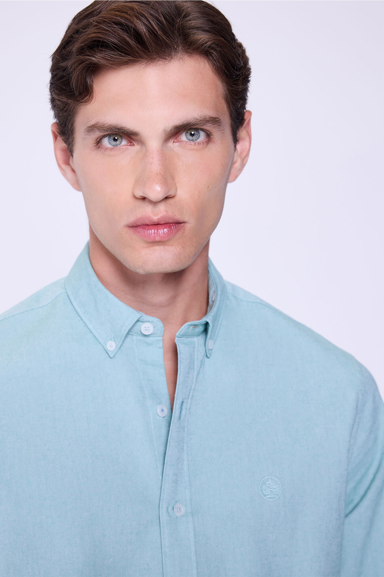 Springfield Camisa Oxford liso Botella