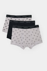 Springfield Pack 3 b&oacute;xeres perros gris
