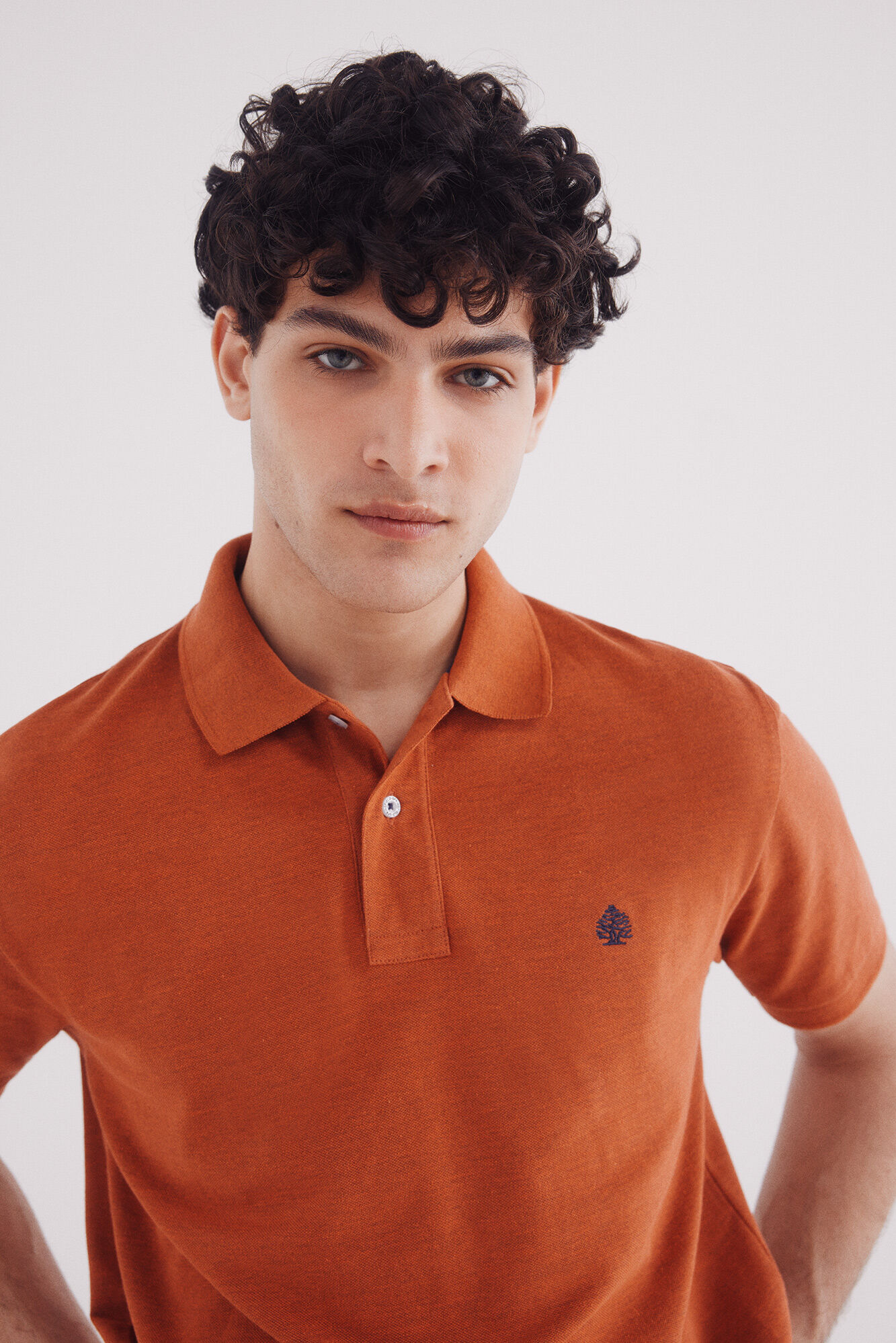 Springfield Polo piqu&eacute; b&aacute;sico fantas&iacute;a regular fit