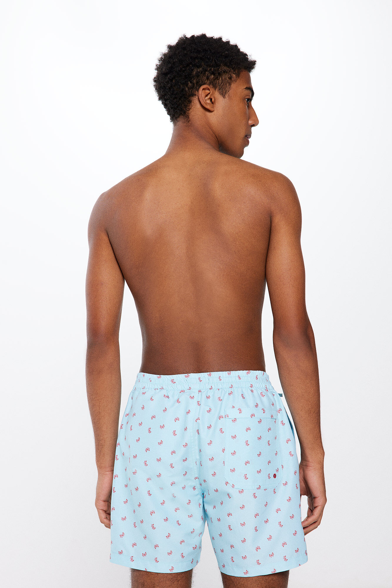Springfield Ba&ntilde;ador estampado cangrejos turquesa
