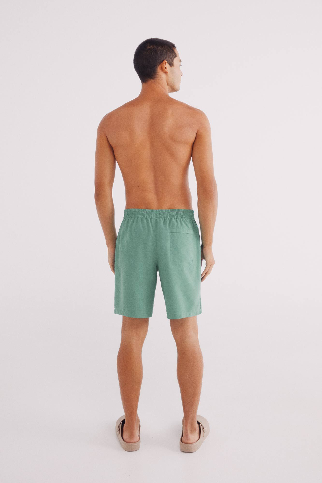 Springfield Ba&ntilde;ador liso logo Springfield verde
