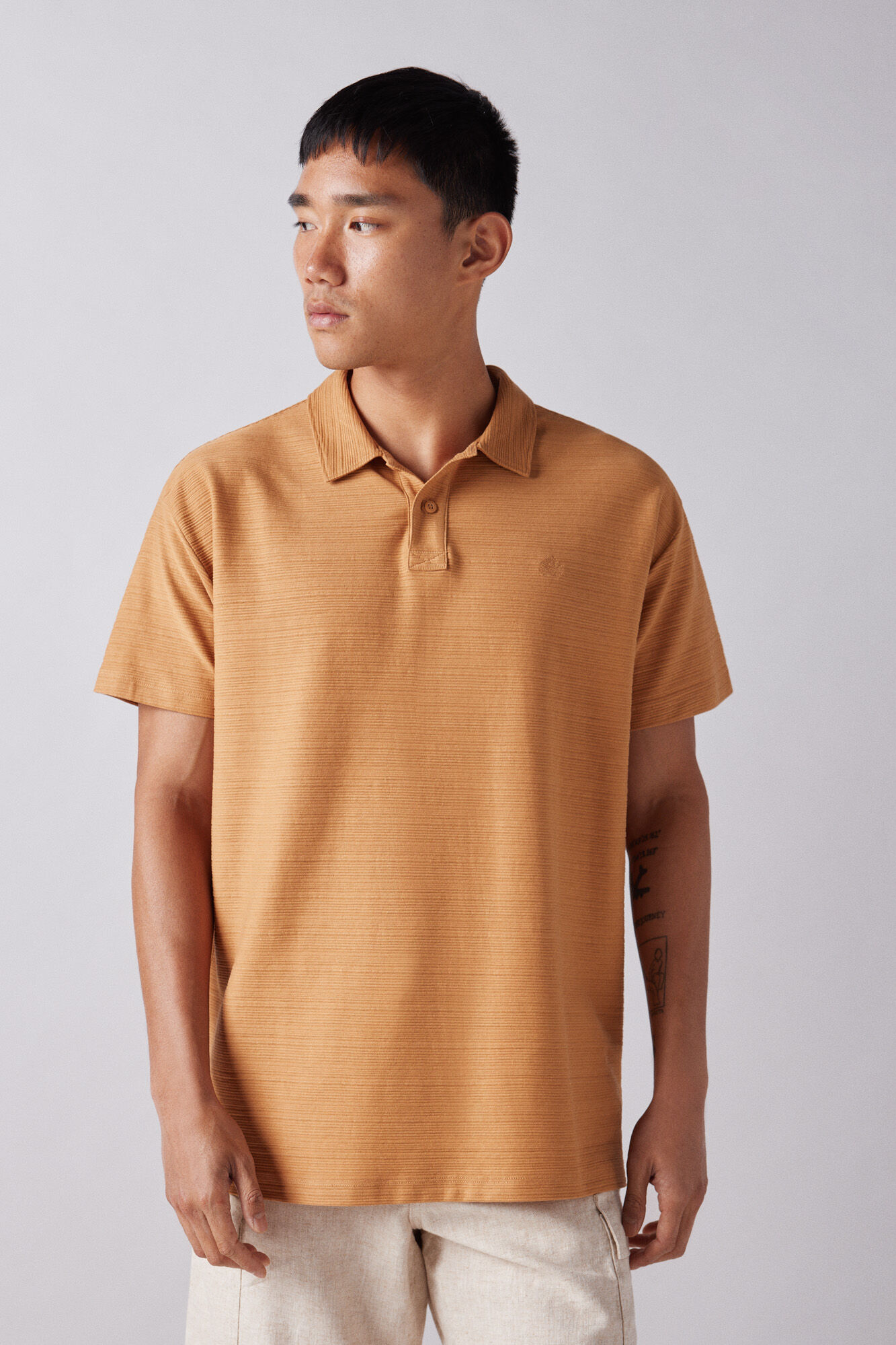 Springfield Polo estructura