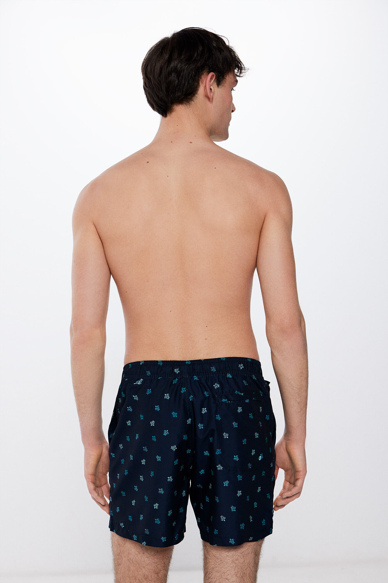 Springfield Traje de ba&ntilde;o estampado tortugas marino