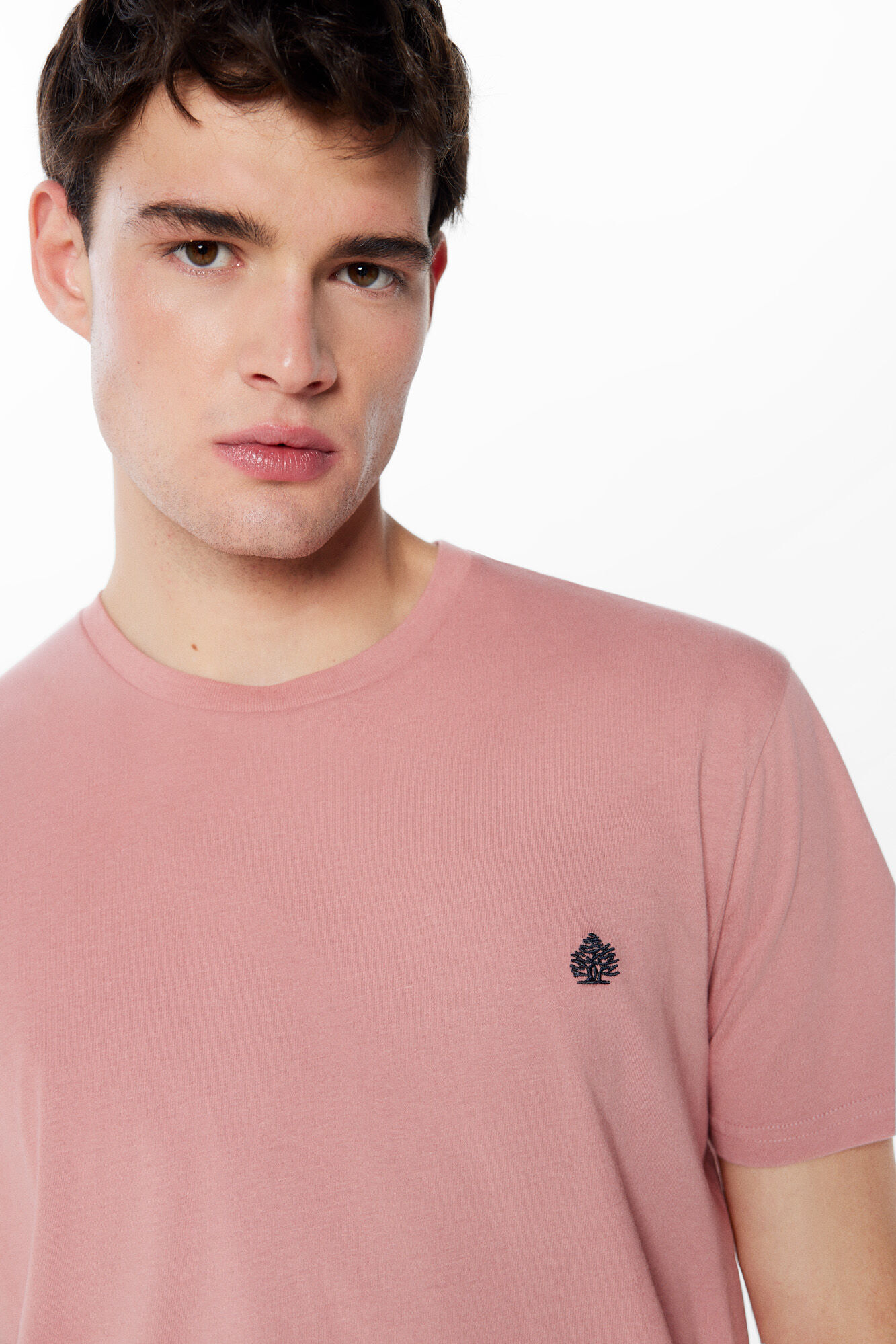 Springfield Playera b&aacute;sica &aacute;rbol rosa
