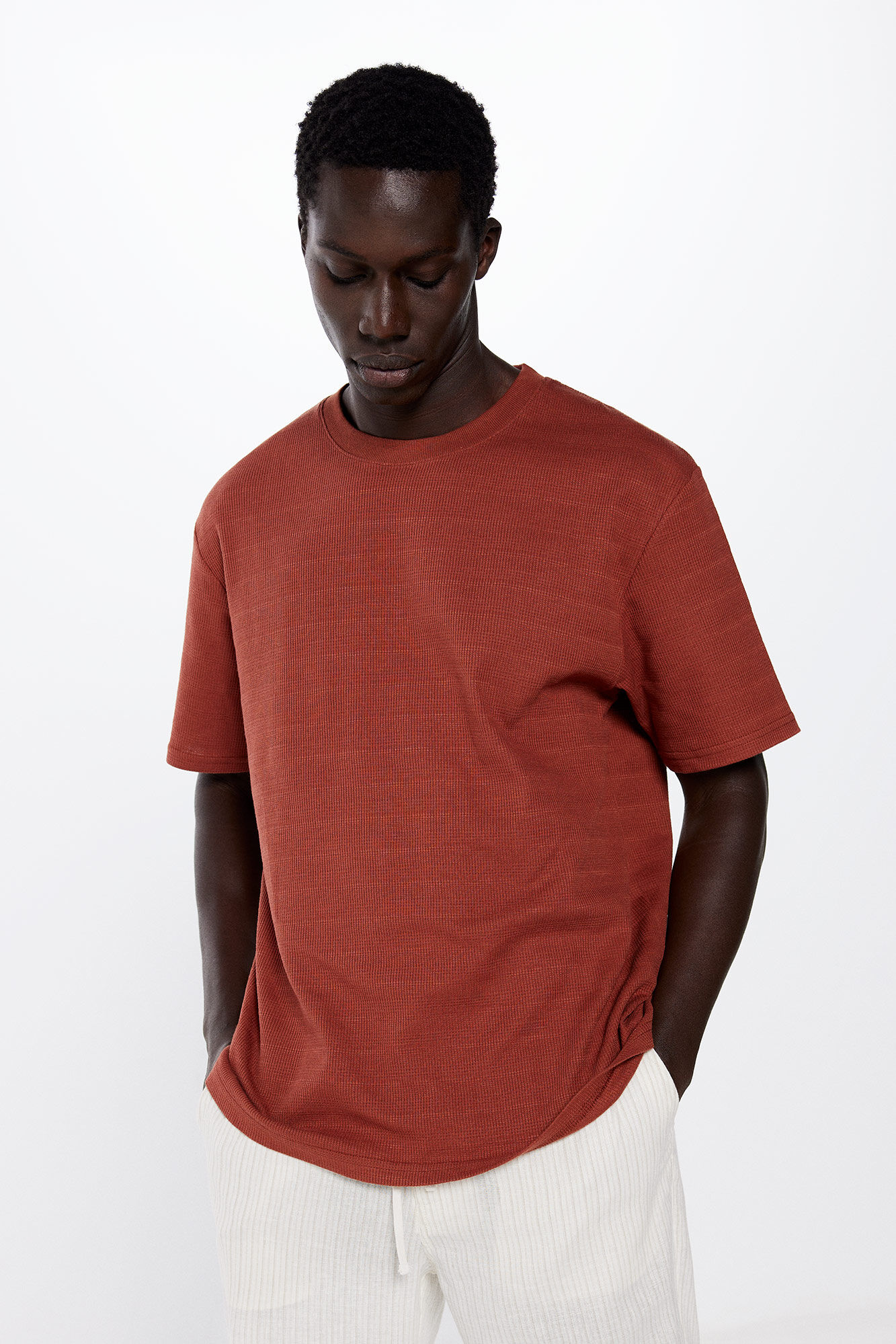 Springfield Playera estructura rayada nude
