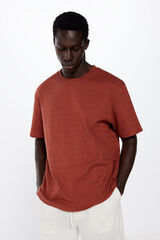 Springfield Playera estructura rayada nude