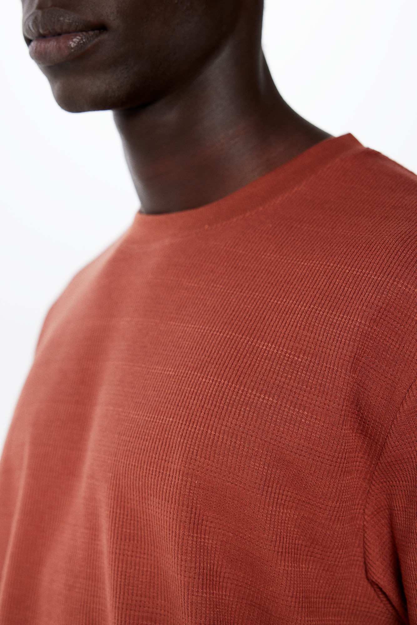 Springfield Playera estructura rayada nude