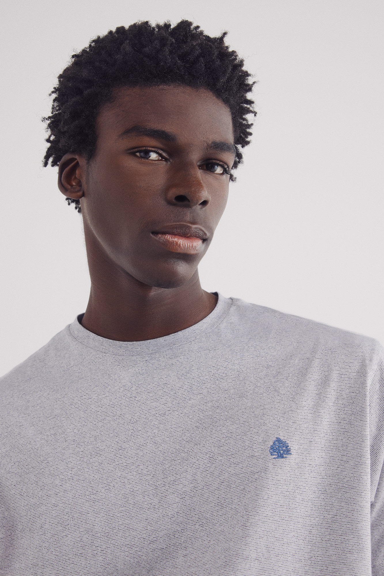 Springfield Playera microraya azulado