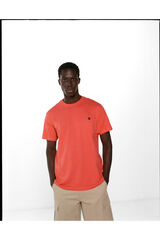 Springfield Playera b&aacute;sica &aacute;rbol estampado