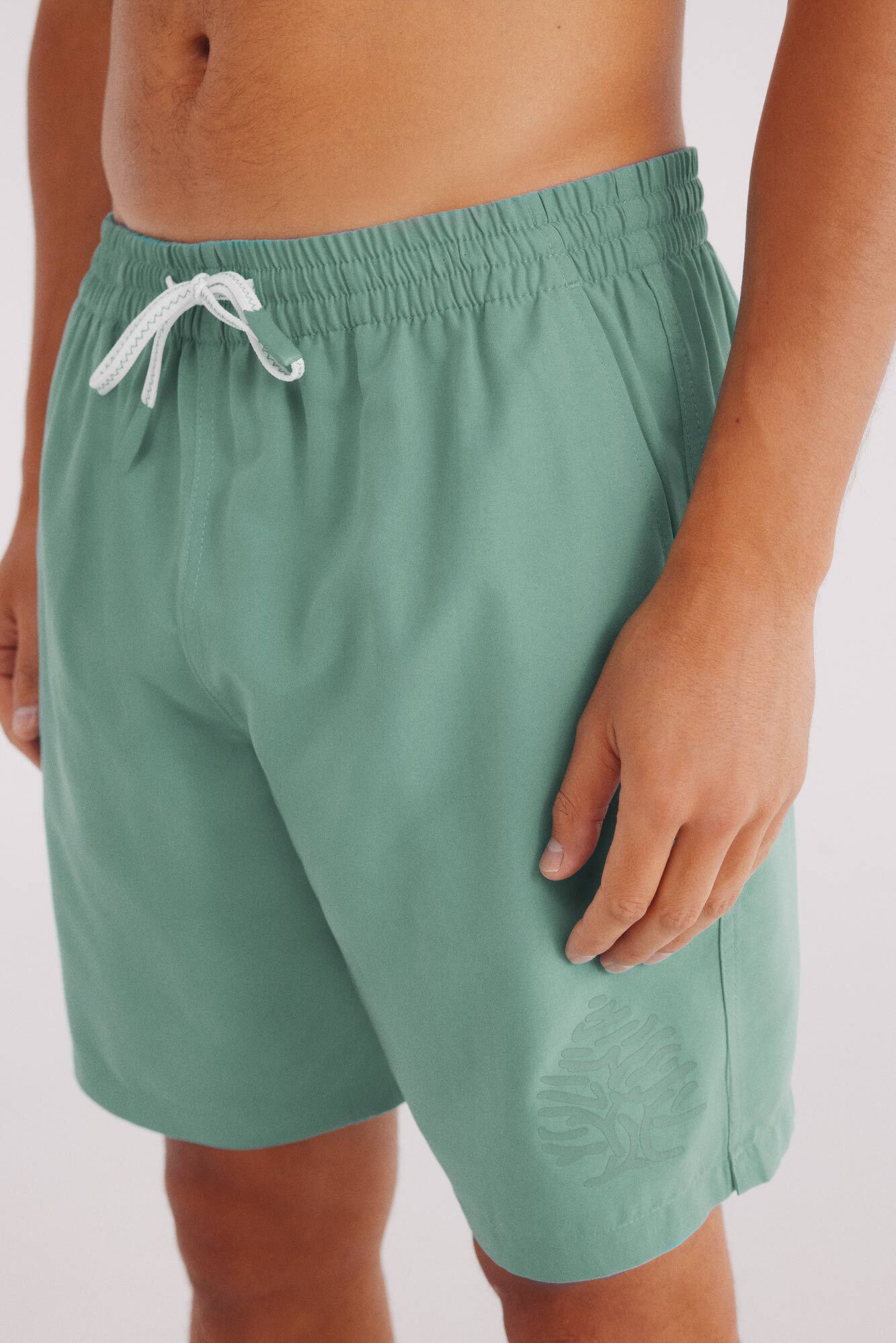 Springfield Ba&ntilde;ador liso logo Springfield