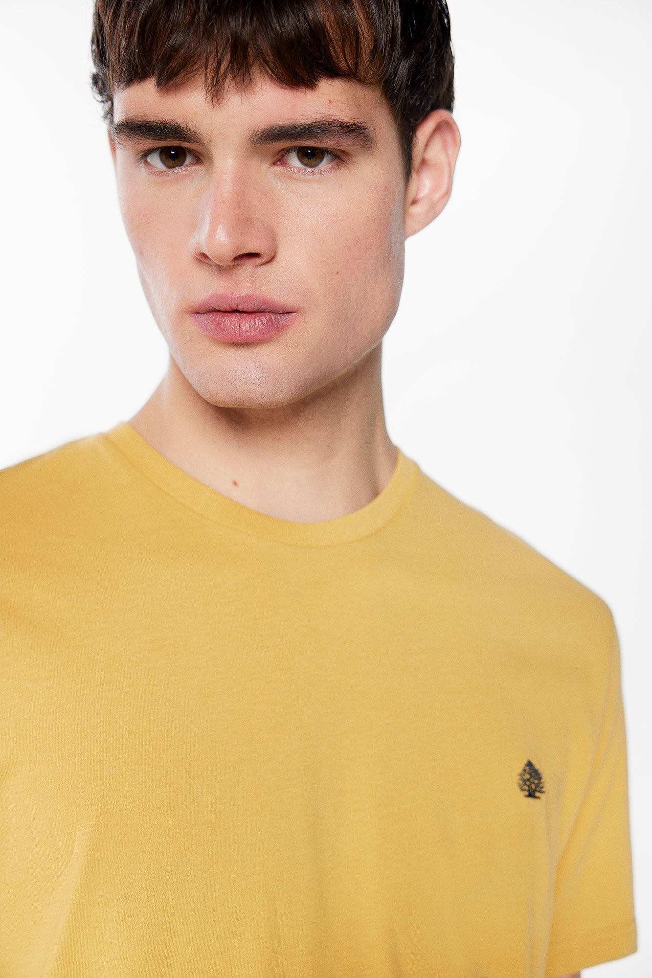 Springfield Playera b&aacute;sica &aacute;rbol amarillo
