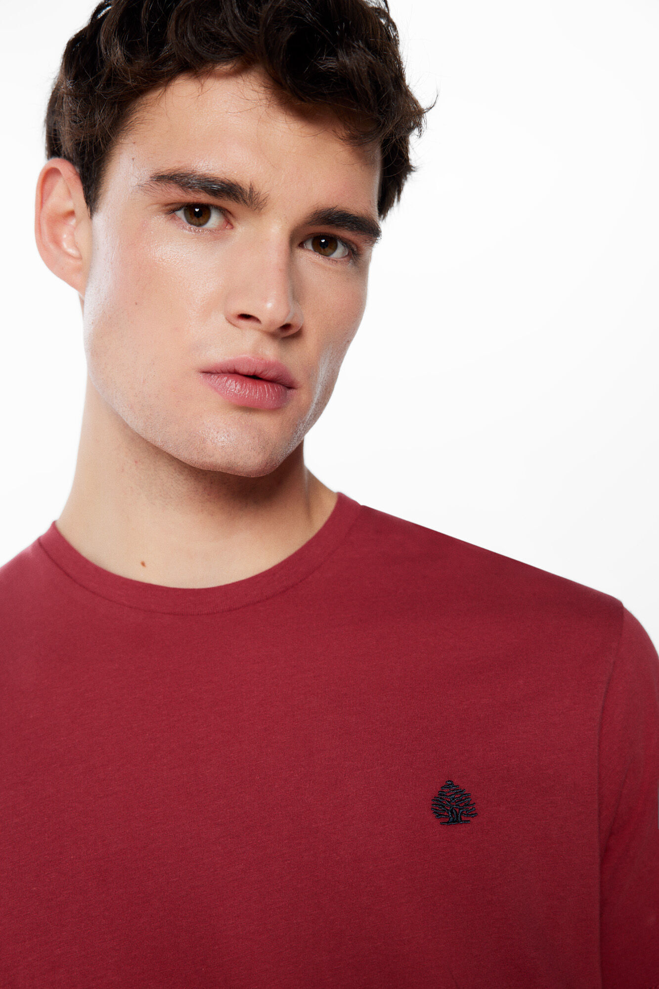 Springfield Playera b&aacute;sica &aacute;rbol