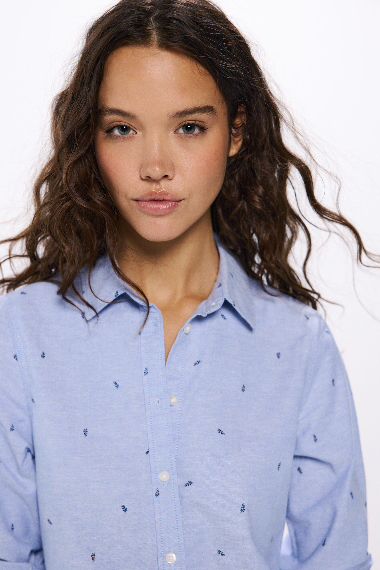 Springfield Camisa oxford
