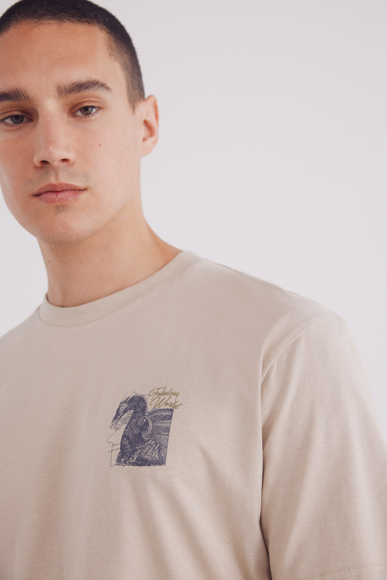 Springfield Playera dragon caf&eacute;
