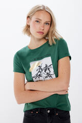 Springfield Playera "New horizons" khaki