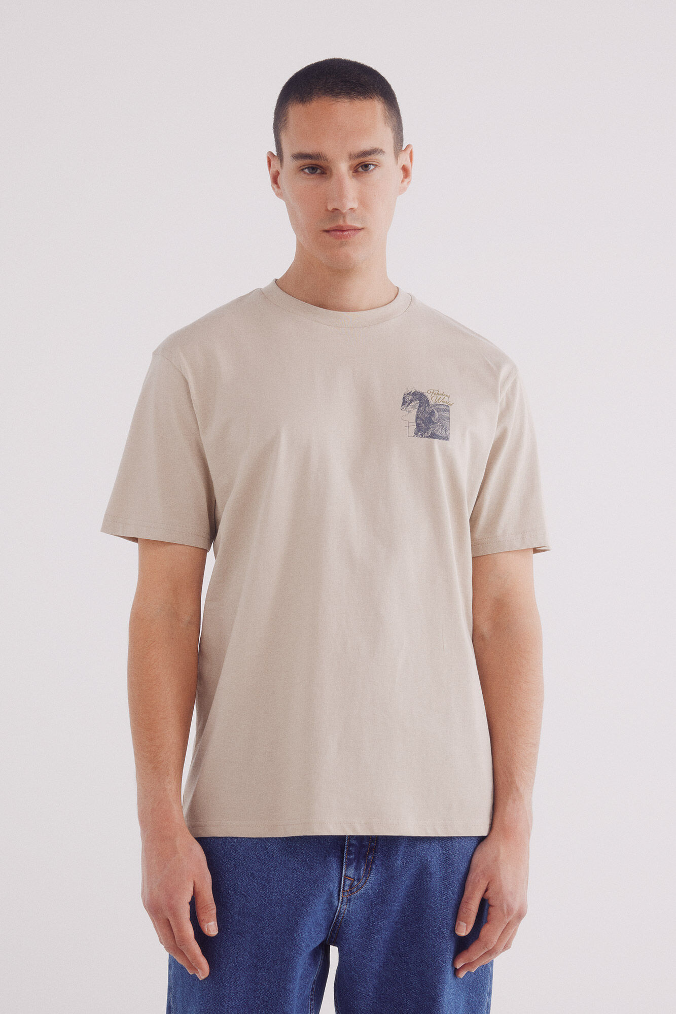 Springfield Playera dragon caf&eacute;
