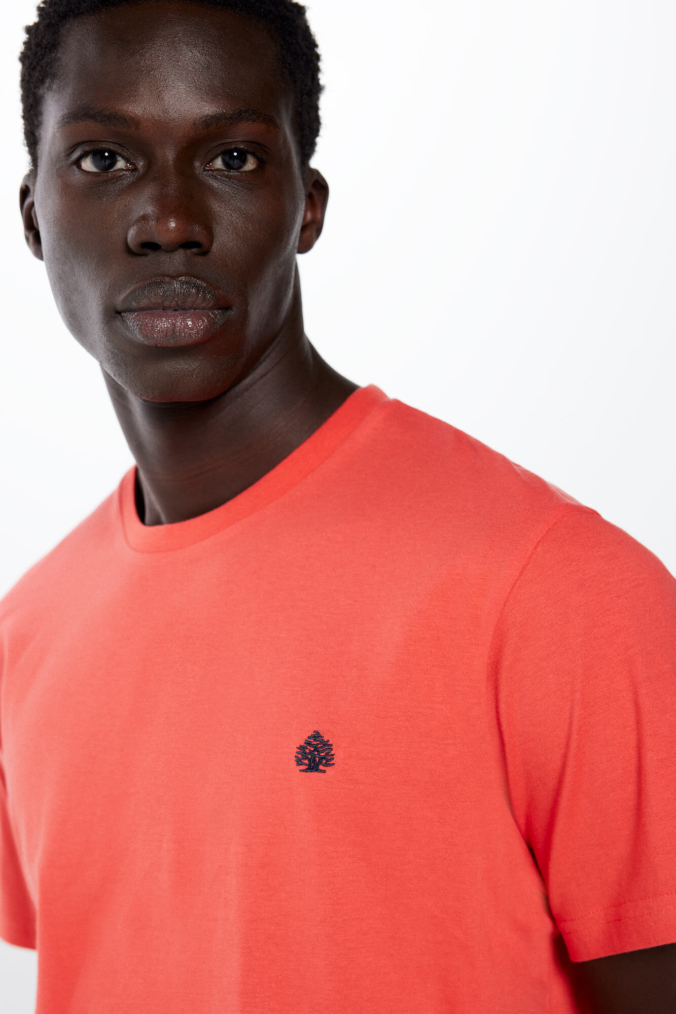 Springfield Playera b&aacute;sica &aacute;rbol